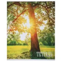Комплект тетрадей, 48 листов в клетку, Calligrata &laquo;Времена года&raquo;, серые листы, 4 штуки