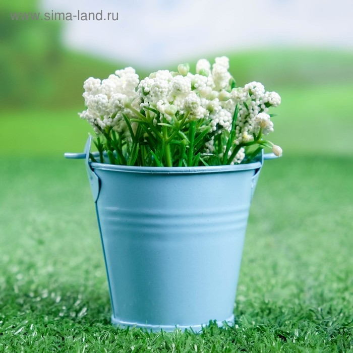 Кашпо «Ведерко Томми», 6×6 см, голубое Кашпо «Ведерко Томми», 6×6 см, голубое