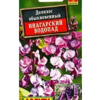 Семена цветов Долихос Ниагарский водопад , Ц/П,1 г Семена цветов Долихос Ниагарский водопад , Ц/П,1 г