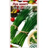 Семена Лук шнитт &laquo;Медонос&raquo;, 0.5 г, &laquo;Гавриш&raquo;