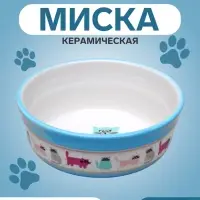 Миска &laquo;Кошачья жизнь&raquo;, 300 мл, 12.7&times;5 см, керамика, голубая