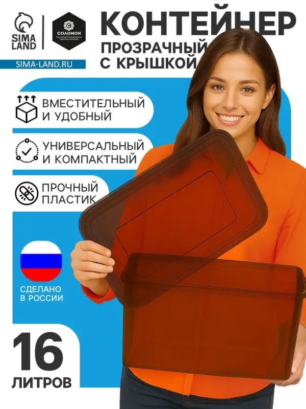 Ящик пластиковый для хранения, с крышкой, объём &mdash; 16 л, прозрачно-чёрный