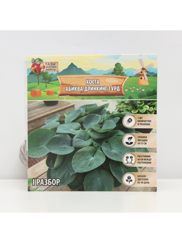 Хоста «Абиква Дринкинг Гурд», корневище в пакете с торфогрунтом, р-р I, 1 шт.