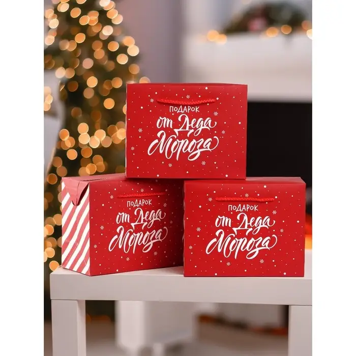 Набор пакетов &laquo;Подарок&raquo;, 3 шт,  23 &times; 18 &times; 11 см