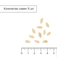 Семена огурца &laquo;Всем на Зависть F1&raquo;, 5 шт., &laquo;Уральский дачник&raquo;