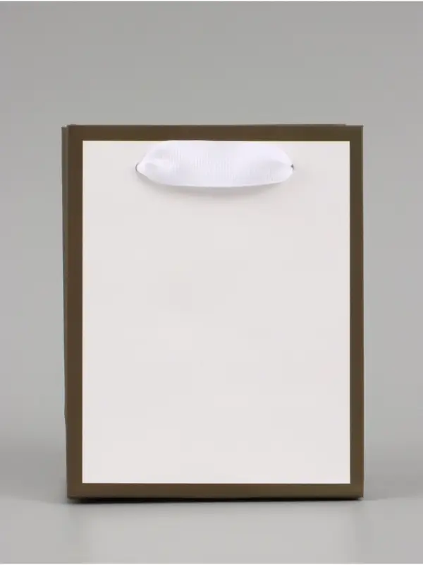 Пакет подарочный, упаковка, &laquo;Белый&raquo;, 15&times;12&times;5.5 см