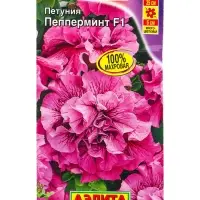 Семена цветов Петуния Пепперминт F1 многоцветковая махровая (драже в пробирке), Ц/П,5 шт. Семена цветов Петуния Пепперминт F1 многоцветковая махровая (драже в пробирке), Ц/П,5 шт.