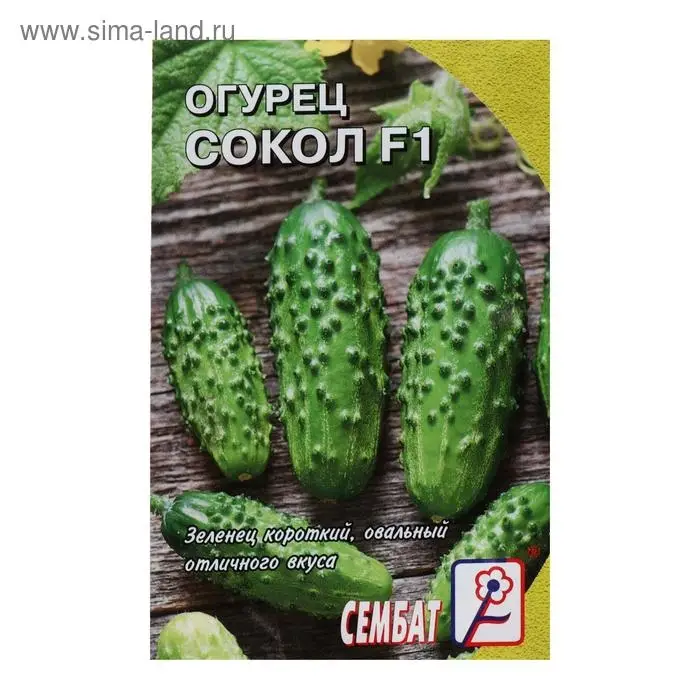 Семена Огурец  Семена Огурец "Сокол", F1,  0,2 г