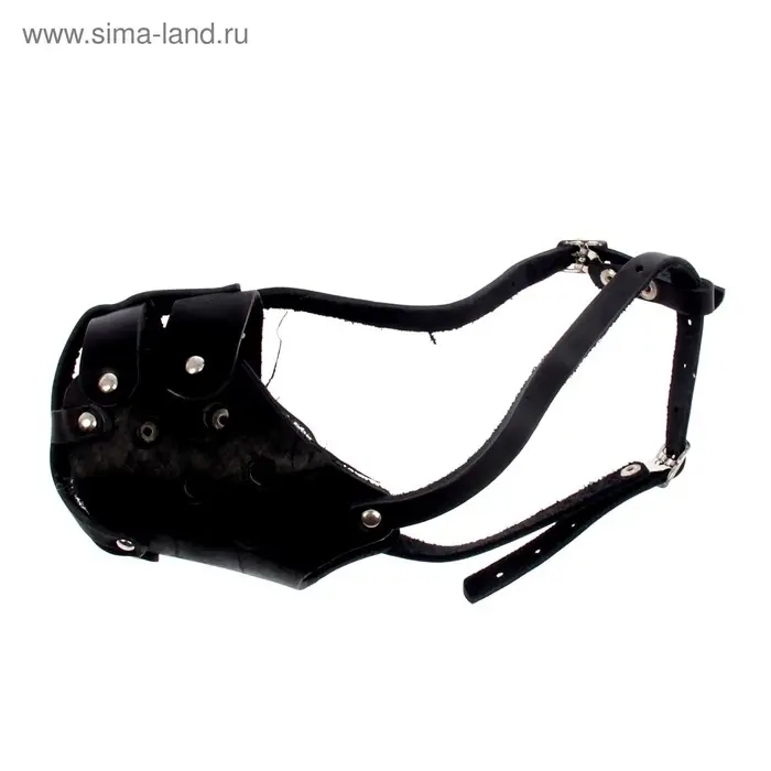 Намордник кожаный цельнокроенный, питбультерьер, ДН 8 см, ОМ 30 см, чёрный