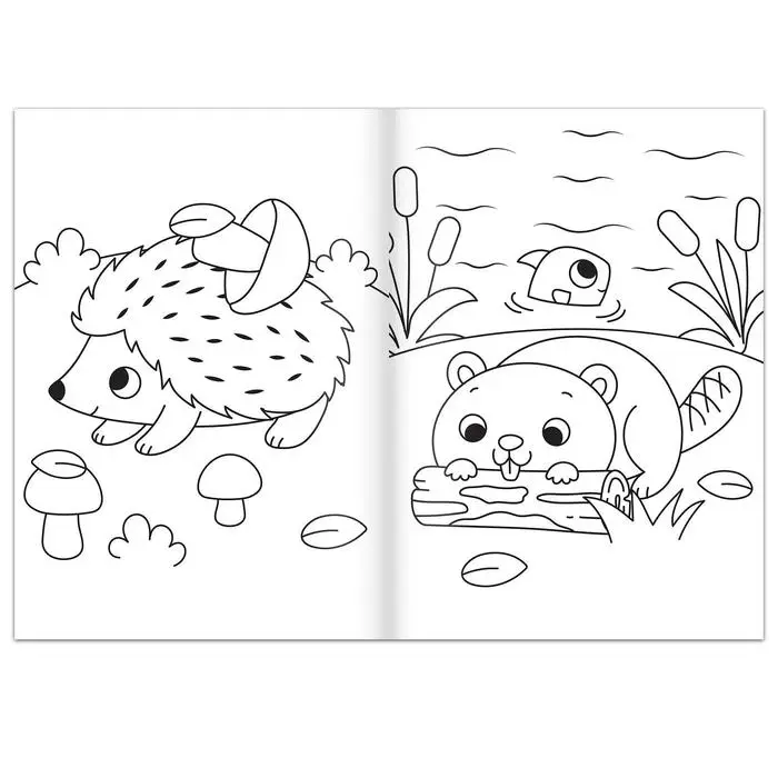 Раскраска «На лесной полянке», 16 стр., формат А4