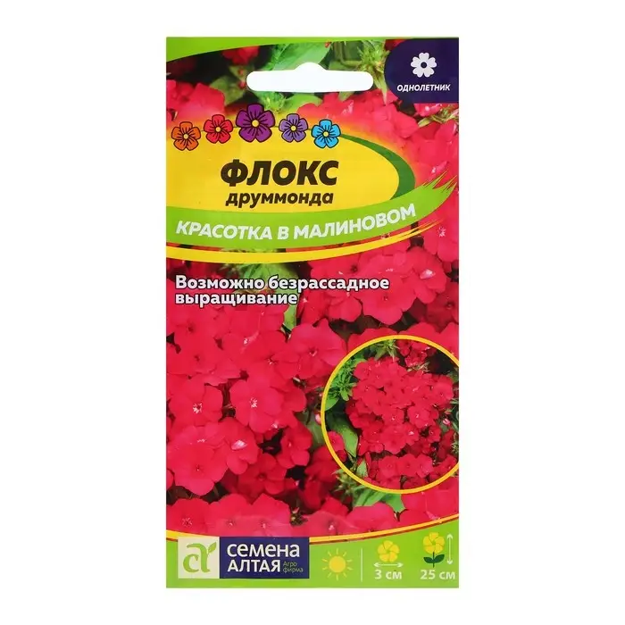 Семена Флокс  Семена Флокс "Красотка в малиновом", ц/п,  0,1 гр.
