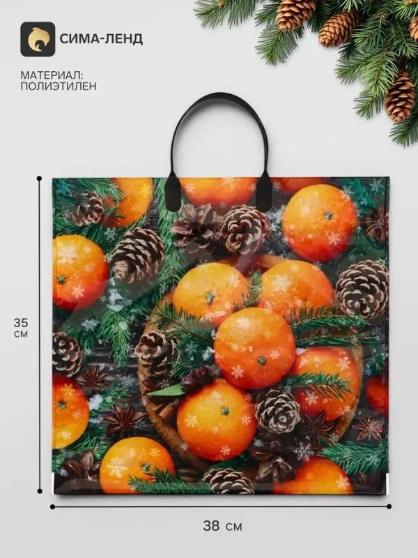 Пакет &laquo;Мандарины&raquo;, полиэтиленовый с пластиковой ручкой, 38&times;35 см, 90 мкм