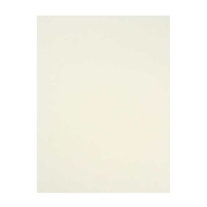 Папка для пастели А3, 297 х 420 мм, 20 листов, тонированная бумага, слоновая кость, ГОЗНАК  Папка для пастели А3, 297 х 420 мм, 20 листов, тонированная бумага, слоновая кость, ГОЗНАК "Скорлупа", блок 200 г/м²