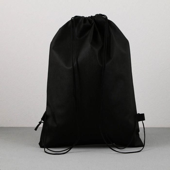 Мешок для обуви «1 сентября: T-REX динозавр» нетканное полотно, размер 30 х 40 см Мешок для обуви «1 сентября: T-REX динозавр» нетканное полотно, размер 30 х 40 см