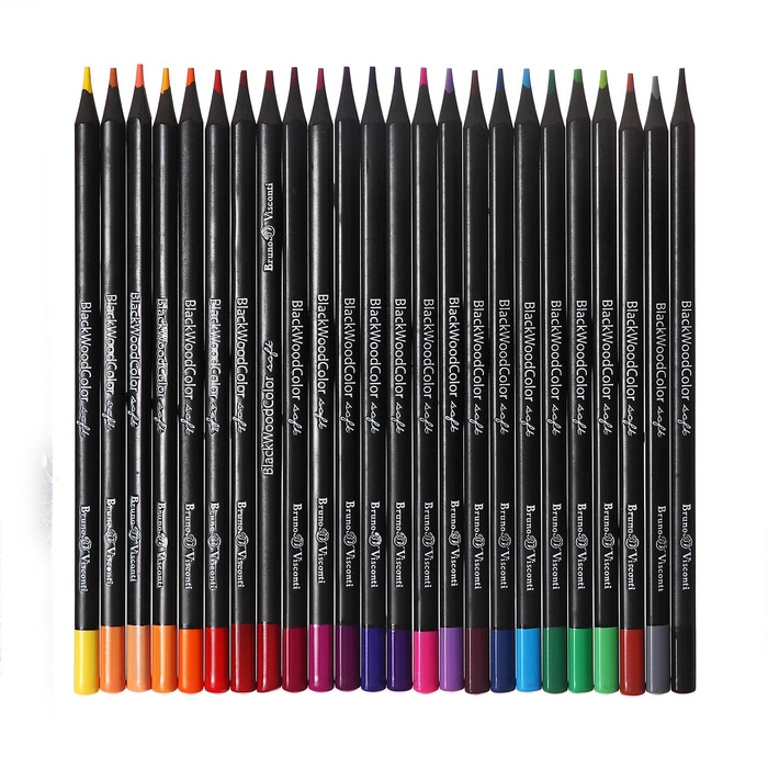 Карандаши 24 цвета BlackWoodColor, пластиковые, трёхгранные, МИКС Карандаши 24 цвета BlackWoodColor, пластиковые, трёхгранные, МИКС