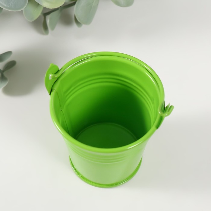 Набор для выращивания растений Набор для выращивания растений "Вырасти травку" ведерко