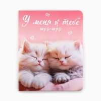 Значок на открытке «Котики», 10 х 8 см