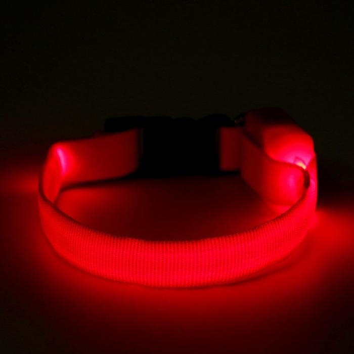 Ошейник светящийся узкий для небольших собак, 26 х 1,5 см, красный Ошейник светящийся узкий для небольших собак, 26 х 1,5 см, красный