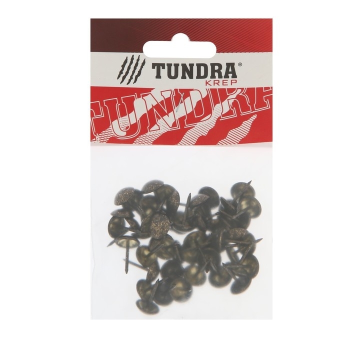 Гвозди ТУНДРА, декоративные, обивочные, 11х17 мм, античная бронза, фасовка 50 шт Гвозди ТУНДРА, декоративные, обивочные, 11х17 мм, античная бронза, фасовка 50 шт