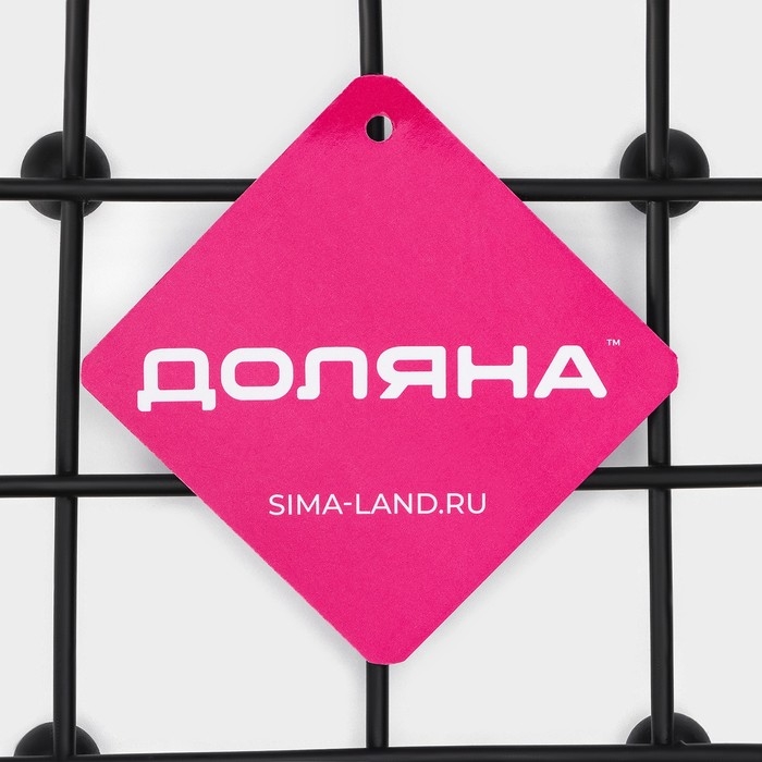 Фруктовница Доляна, 27×27×8,5 см, цвет чёрный Фруктовница Доляна, 27×27×8,5 см, цвет чёрный