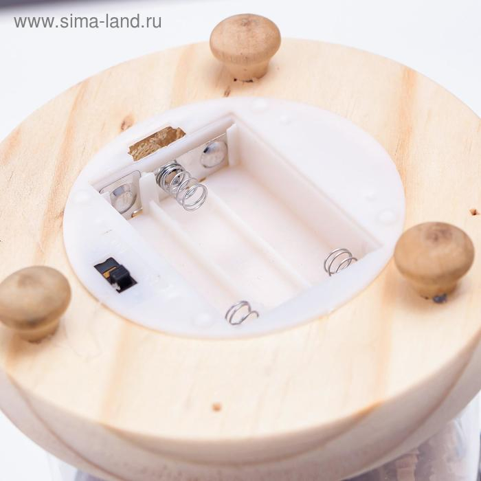 Ночник-колба Ночник-колба "Цветок из хлопка" LED батарейки 3хААА МИКС 9,5х9,5х19 см RISALUX