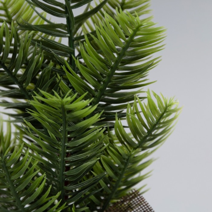 Фигура светодиодная «Ель» 30 x13 x13 см, 10 LED, батарейки AG13x3 (в комплекте), свечение тёплое белое Фигура светодиодная «Ель» 30 x13 x13 см, 10 LED, батарейки AG13x3 (в комплекте), свечение тёплое белое