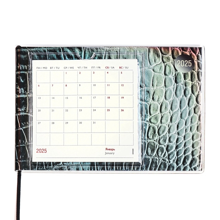 Еженедельник датированный 2025 год, ESCALADA  Еженедельник датированный 2025 год, ESCALADA "змея металлик", мягкая обложка ПВХ, 64 листа, блок 70 г/м², 180 х 127мм