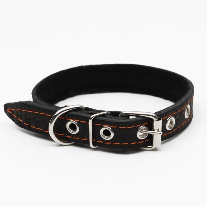 Ошейник кожаный с тиснением на синтепоне, 46 х 2 см, ОШ 25-35 см, чёрный Ошейник кожаный с тиснением на синтепоне, 46 х 2 см, ОШ 25-35 см, чёрный