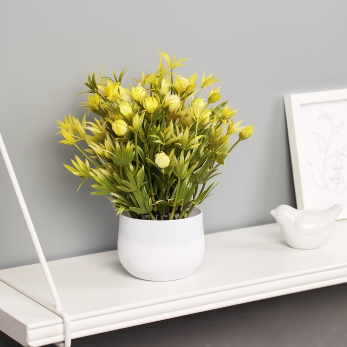 Бонсай в горшке Бонсай в горшке "Цветы луковичные" 21х9 см, микс