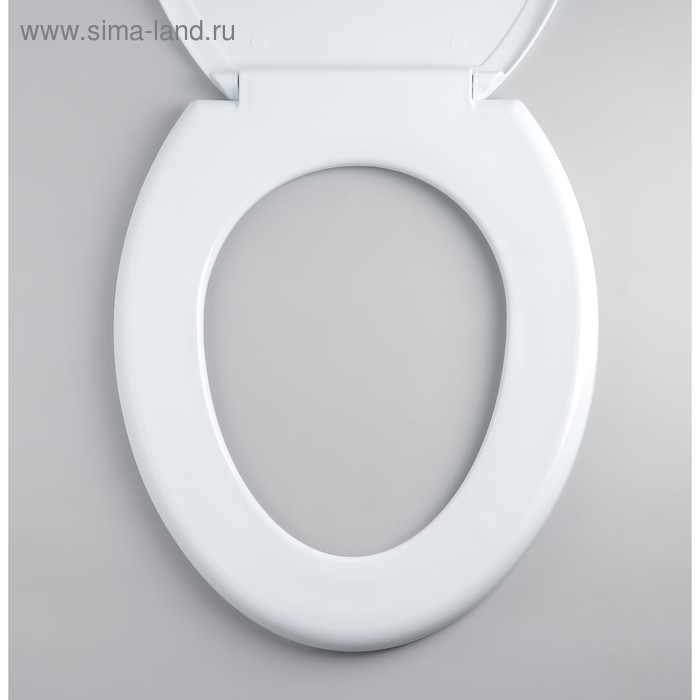 Сиденье для унитаза с крышкой Росспласт «Декор. Пальма»,44,5 х 37,5 см, белое Сиденье для унитаза с крышкой Росспласт «Декор. Пальма»,44,5 х 37,5 см, белое