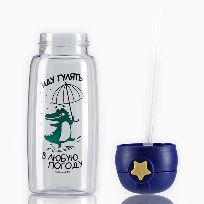 Бутылка для воды «Иду гулять в любую погоду», 750 мл Бутылка для воды «Иду гулять в любую погоду», 750 мл