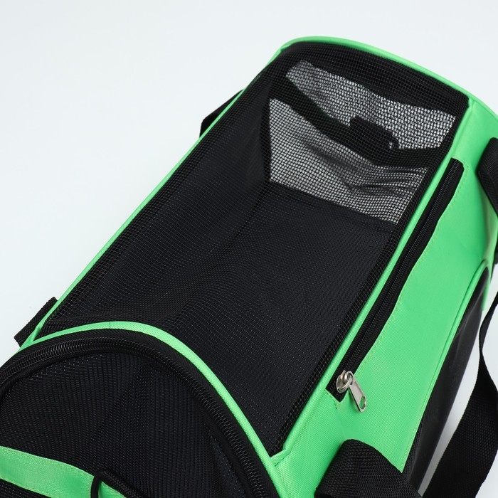 Сумка-переноска сетчатая, 48 х 26 х 31 см, зелёная Сумка-переноска сетчатая, 48 х 26 х 31 см, зелёная