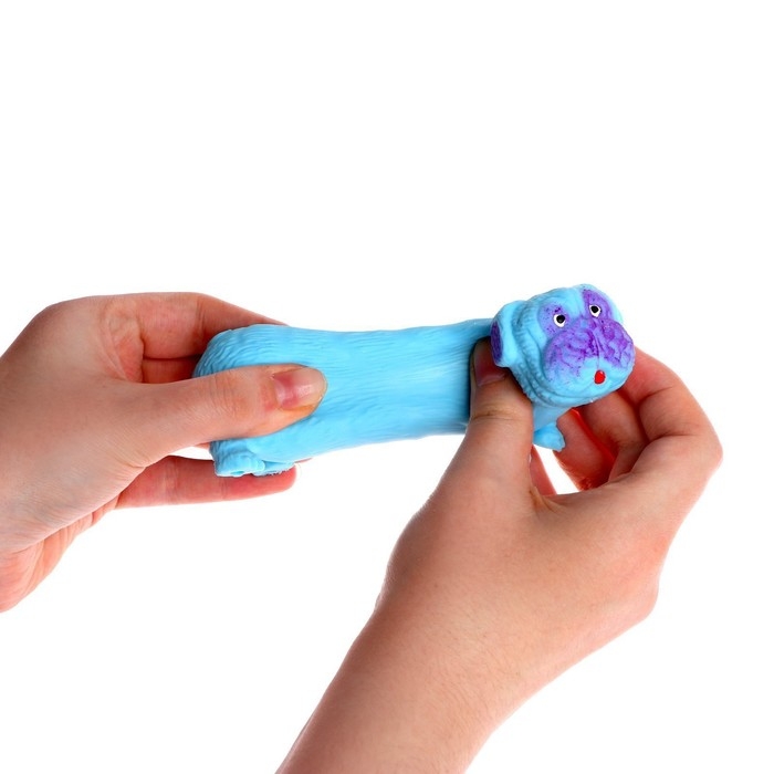 Мялка антистресс тянучка «Собака», с песком, цвета МИКС, в шоубоксе Мялка антистресс тянучка «Собака», с песком, цвета МИКС, в шоубоксе