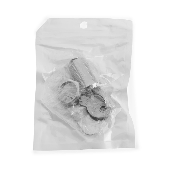 Замок почтовый ТУНДРА LC4, 17х30х50 мм, 2 английских ключа, хром Замок почтовый ТУНДРА LC4, 17х30х50 мм, 2 английских ключа, хром