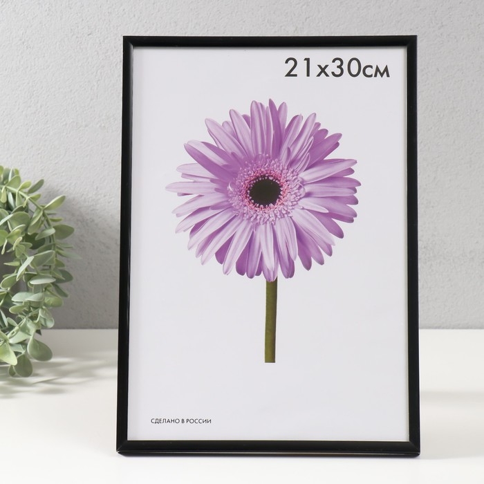 Фоторамка пластик Lida 21х30 см чёрный Фоторамка пластик Lida 21х30 см чёрный