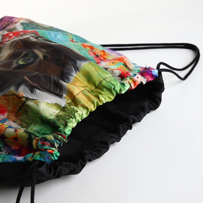 Мешок для обуви на шнурке, цвет зелёный/разноцветный Мешок для обуви на шнурке, цвет зелёный/разноцветный