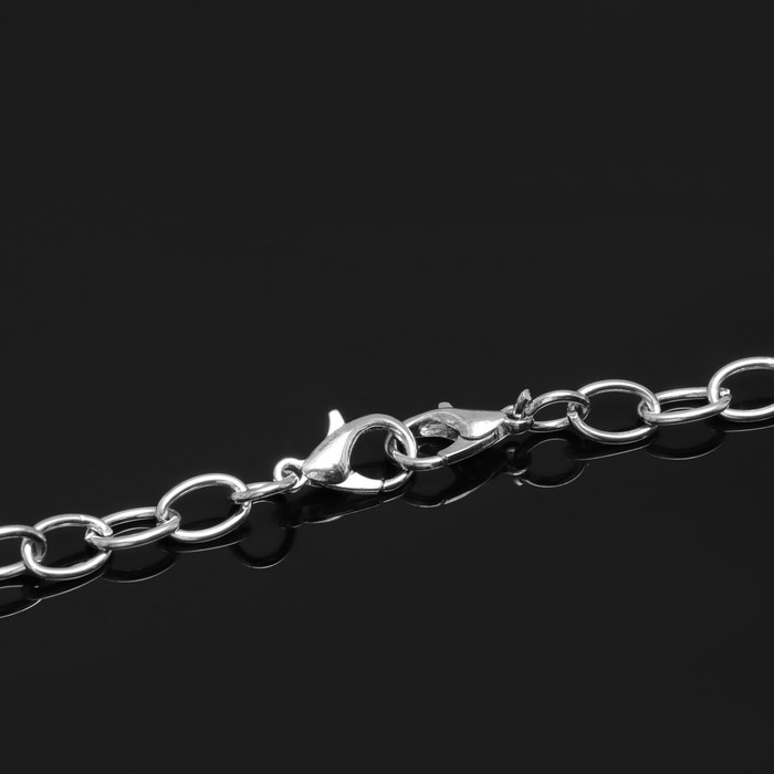 Цепочка с двумя карабинами L=70 см, 7×5 мм, (набор 5 шт.) СМ-1935, цвет серебро Цепочка с двумя карабинами L=70 см, 7×5 мм, (набор 5 шт.) СМ-1935, цвет серебро