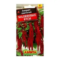 Набор семян Амарант "Малиновые бусы", О, 5 шт. Набор семян Амарант "Малиновые бусы", О, 5 шт.