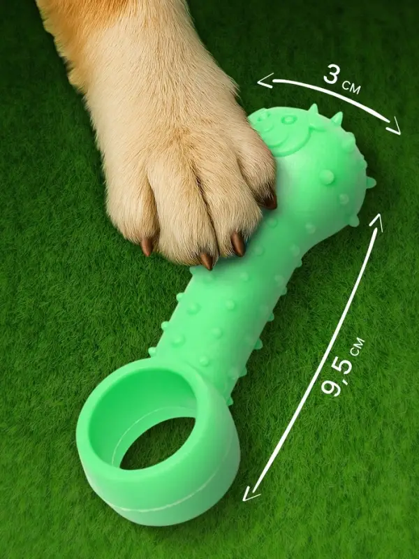 Игрушка-дразнилка для собак &laquo;Поймай меня!&raquo;, 9.5 см, TPR, зелёная