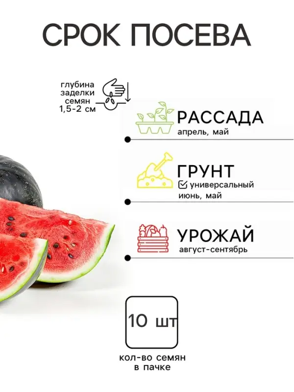 Семена Арбуз &laquo;Холодок&raquo;, 10 шт., &laquo;Агрэкс&raquo;