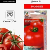 Семена Томат, &laquo;Дебют&raquo;, F1, 10 шт., Seminis, &laquo;Агрос&raquo;