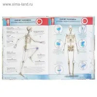 Энциклопедия 4D в дополненной реальности «Анатомия» Энциклопедия 4D в дополненной реальности «Анатомия»