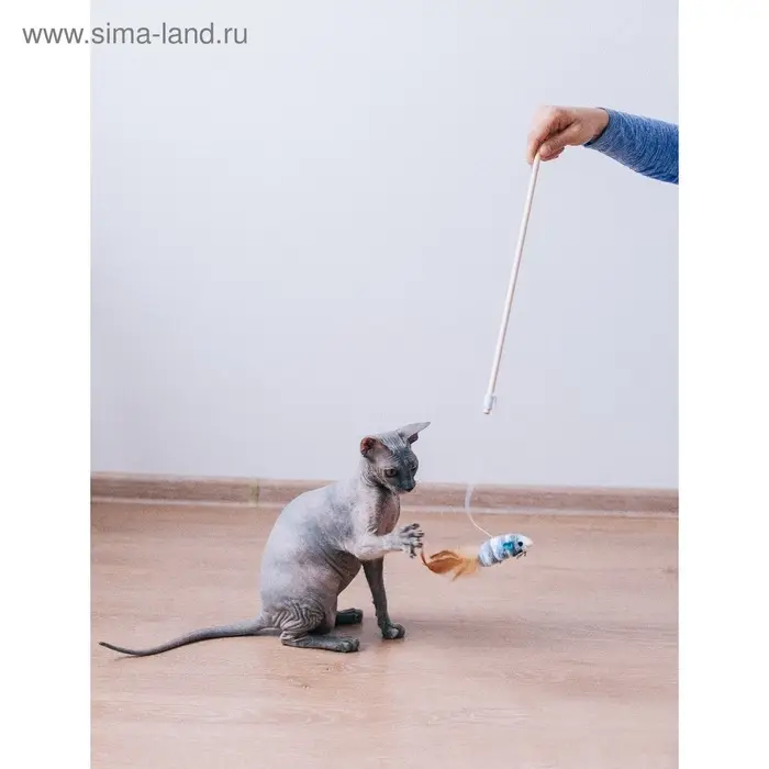 Дразнилка, 40 см, с махровой мышкой 7 см, на деревянной палочке, МИКС