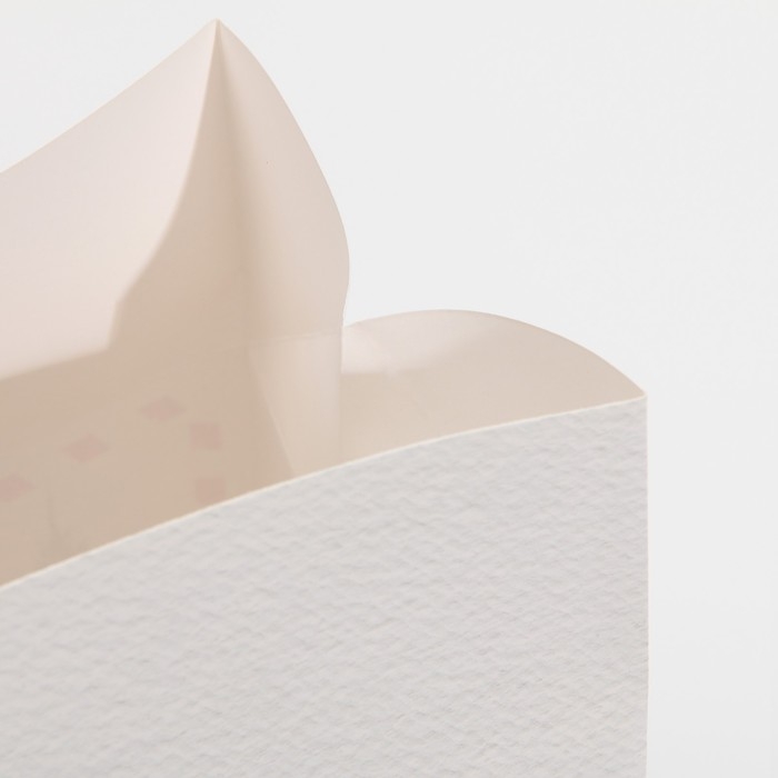 Пакет-коробка «Новогодняя пора», 28 х 20 х 13 см, Новый год Пакет-коробка «Новогодняя пора», 28 х 20 х 13 см, Новый год