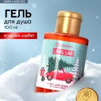 Гель для душа, аромат ягодного сорбета, 100 мл, URAL LAB