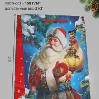 Пакет подарочный &laquo;Зимний волшебник&raquo;, 26&times;12&times;32 см