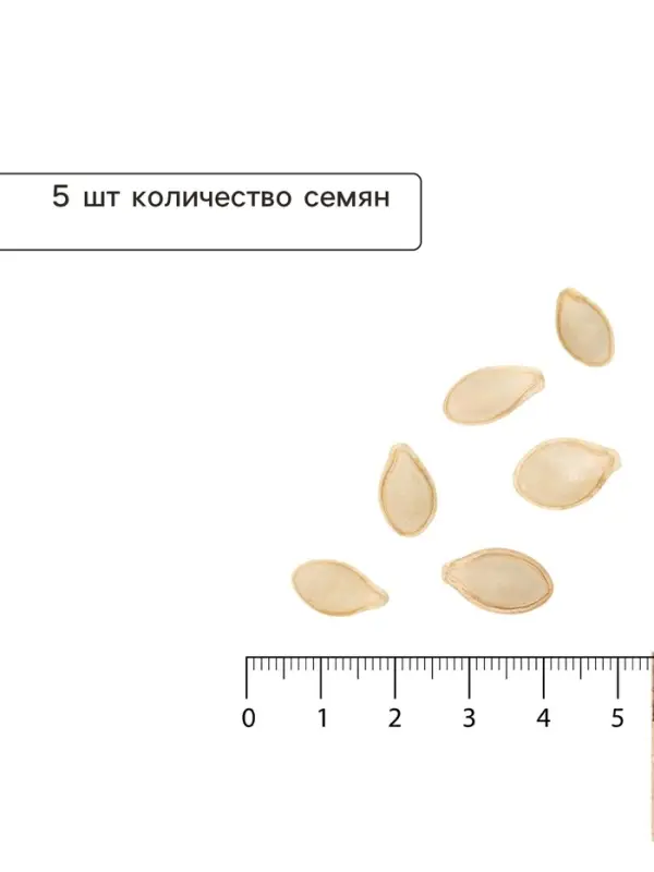 Семена Кабачок &laquo;Дельфинчик&raquo;, 5 шт., &laquo;Сибирский сад&raquo;