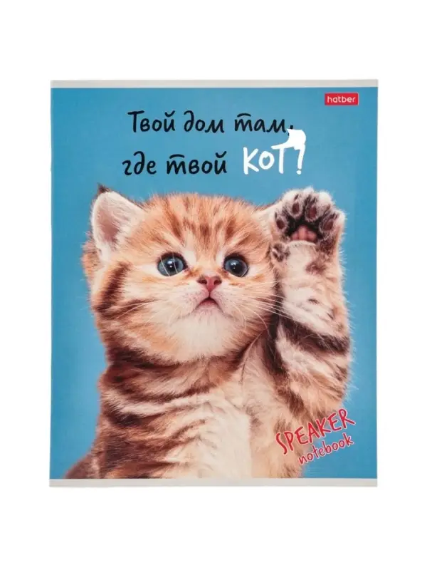 Тетрадь 40л А5ф кл 60-65г/кв.м на скобе Обл. мел.картон  серия -Кот говорит!- МИКС