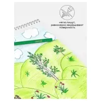 Карандаши цветные пластиковые 36 цветов &laquo;Гамма. Мультики&raquo;, заточенные, ПВХ, европодвес (251220214)