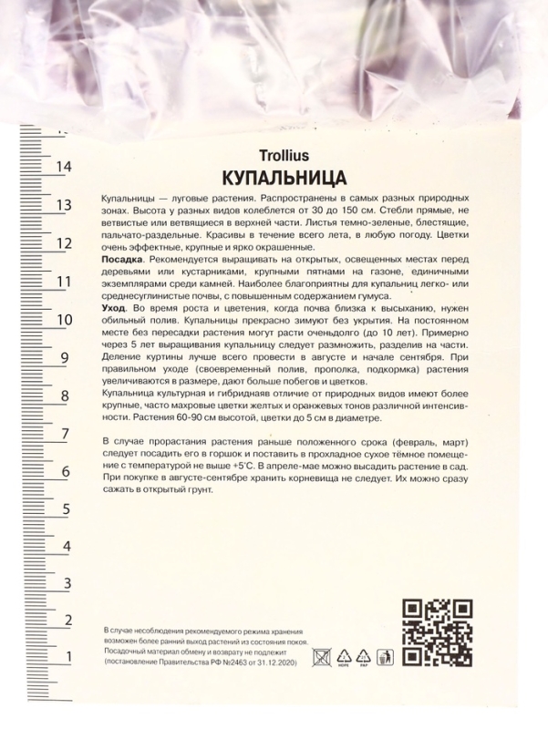 Купальница гибридная Чеддар, р-р I, 1 шт, Весна 2025